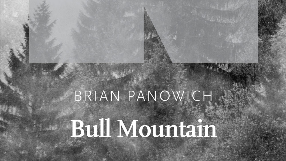  Bull Mountain - Brian Panowich